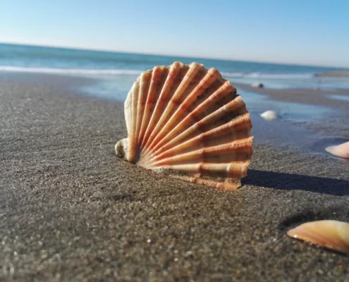 Lido di Ostia