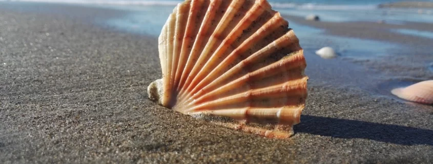 Lido di Ostia