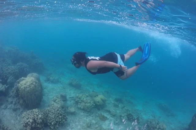 дайвер дайвер